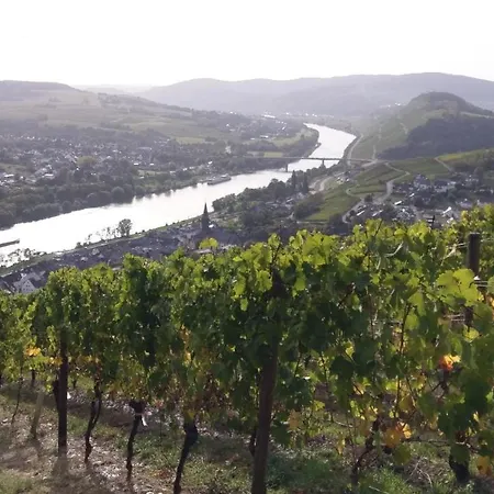 Mosel Sonnenlay Mit Terrasse Fuer Familien Gruppen