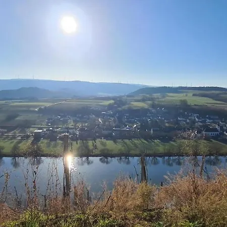 Mosel Sonnenlay Mit Terrasse Fuer Familien Gruppen