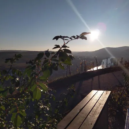 Mosel Sonnenlay Mit Terrasse Fuer Familien Gruppen בראונברג