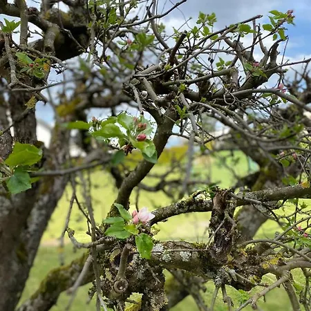 Sonnenlay - An Der Mosel