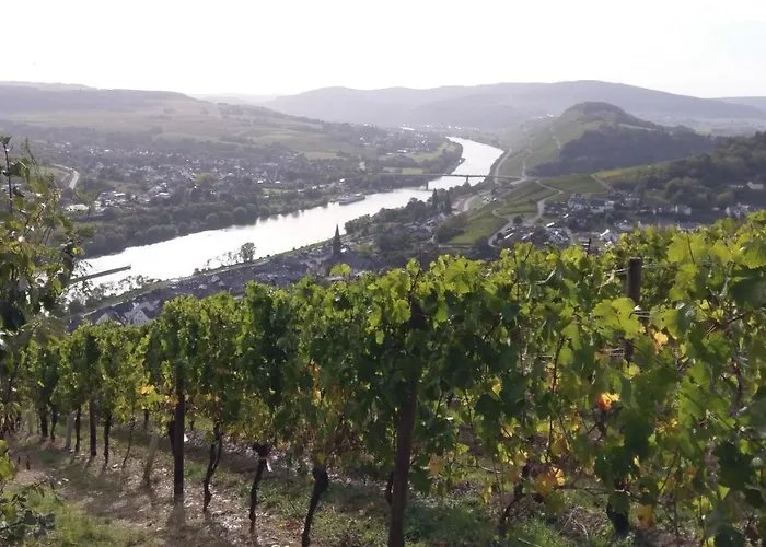 Sonnenlay - An Der Mosel