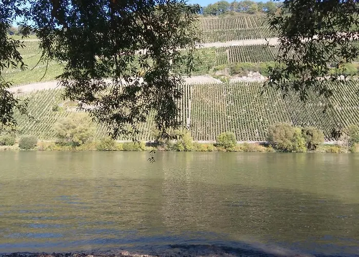 Sonnenlay - An Der Mosel * 브라운버그