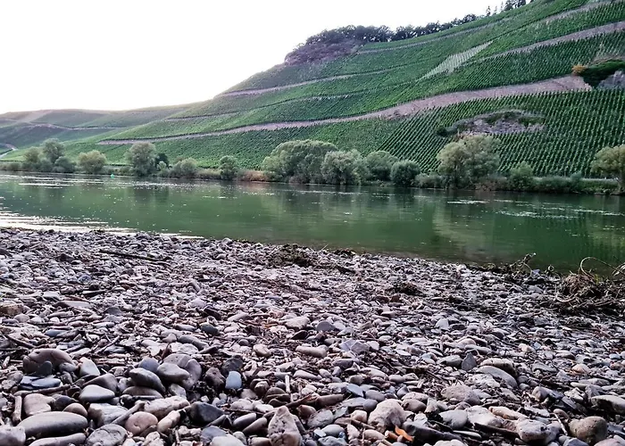 Sonnenlay - An Der Mosel 브라운버그