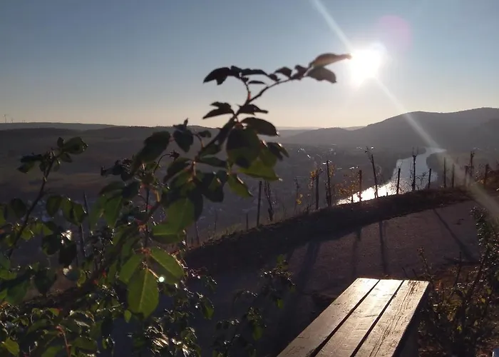 Sonnenlay - An Der Mosel 브라운버그