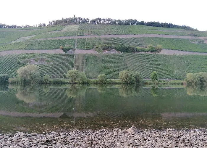 דירה Sonnenlay - An Der Mosel בראונברג