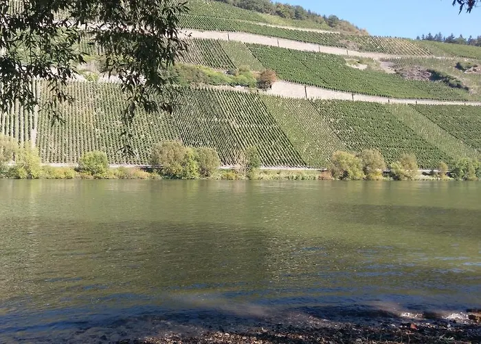 Sonnenlay - An Der Mosel * 브라운버그