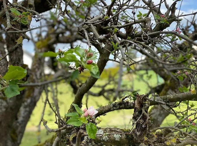 Sonnenlay - An Der Mosel