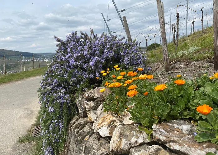 Sonnenlay - An Der Mosel 아파트
