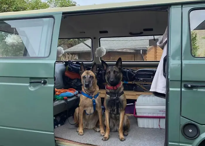 Sonnenlay - An Der Mosel דירה *